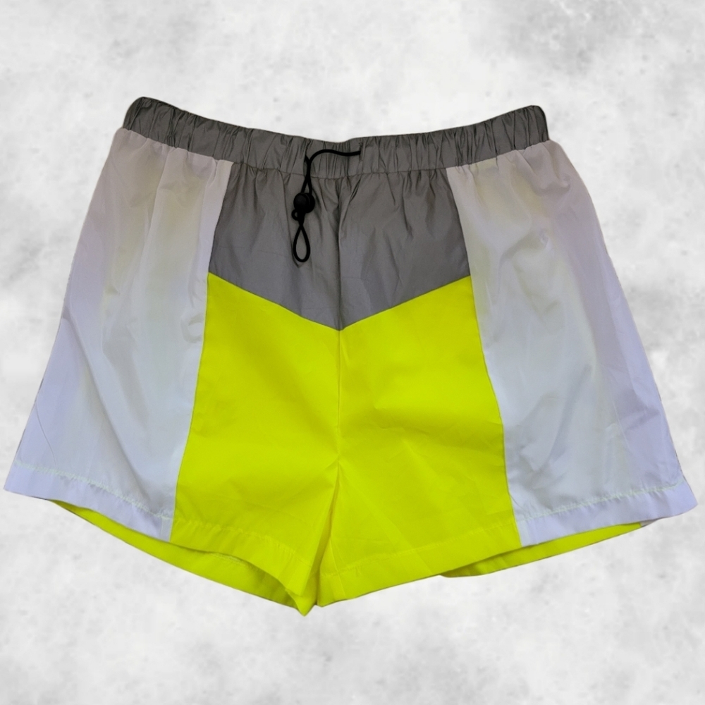 Daisy/ NWT/ Reflective High Waisted Shorts